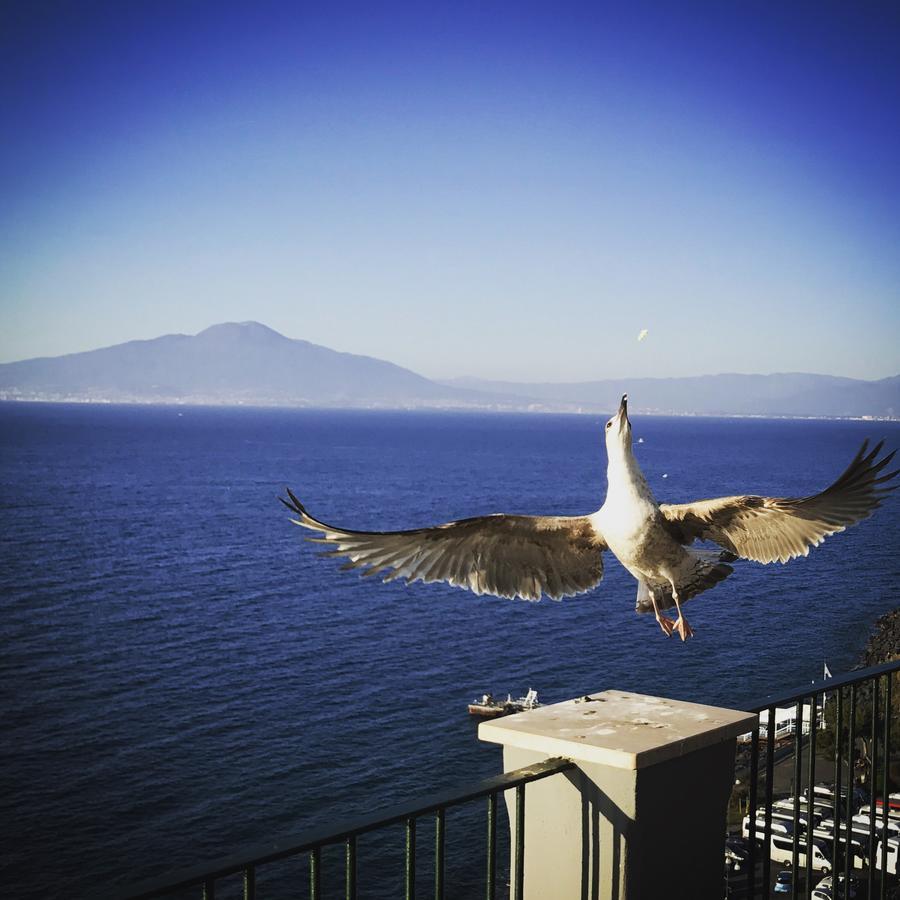 La Perla Daire Pompei Dış mekan fotoğraf